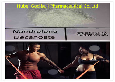 Porcellana Steroide di Decanoate delle nandrolone di Durabol, steroidi anabolici dell'iniezione di prescrizione fornitore
