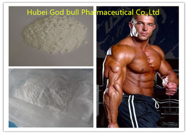 Porcellana Guadagno farmaceutico 1045-69-8 del muscolo degli steroidi anabolizzanti del grado dell'acetato del testosterone fornitore
