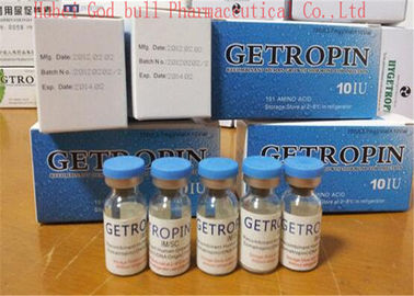 Porcellana Ormone umano della crescita ISO9001 antinvecchiamento degli steroidi anabolizzanti di Getropin 10iu HGH fornitore