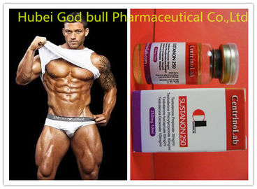 Porcellana Sustanon naturale 250 steroidi iniettabili, steroidi delle iniezioni del testosterone di forma fisica fornitore