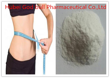 Porcellana CAS 541-15-1 L steroidi di perdita di peso della carnitina, steroidi anabolizzanti brucianti grassi senza effetti collaterali fornitore