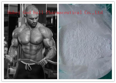 Porcellana Testosterone del body building di purezza di 98%/testosterone Phenylpropionate CAS 1255-49-8 fornitore