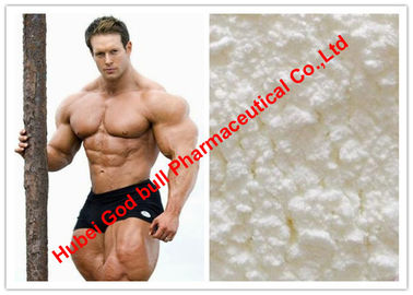 Porcellana Assy farmaceutico dello steroide anabolizzante del testosterone/dell'ormone 99% guadagno di Muslce, ISO9001 fornitore