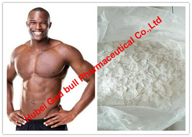 Porcellana Testosterone Undecanoate/in basso steroide anabolizzante con purezza di 99%, polvere bianca del testosterone fornitore