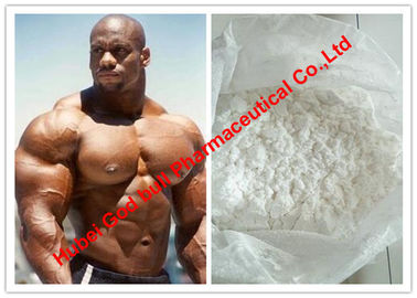 Porcellana Testosterone bianco di guadagno del muscolo della polvere/steroidi anabolizzanti androgeni MF C30H48O3 fornitore
