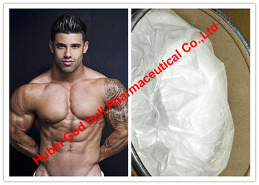 Porcellana Il testosterone ha basato gli steroidi/Mestanolone Ace per il muscolo che costruisce CAS 521-11-9 fornitore