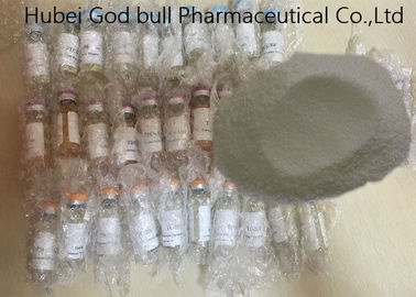 Porcellana Fiala farmaceutica di Methenolone Enanthate 100mg/Ml degli steroidi anabolizzanti senza deposito di Primobolan dell'etichetta fornitore