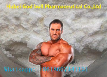 Porcellana ormone steroide orale CAS 65-04-3 delle polveri steroidi crude 17-Methyltestosterone fornitore