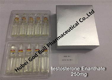 Porcellana qualità eccellente iniettabile dell'iniezione 250mg/ml 1ml/vial degli steroidi anabolizzanti del enanthate del testosterone fornitore