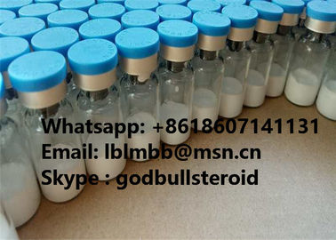 Porcellana Polvere rapida 77591-33-4 dell'ormone della crescita TB500 del muscolo degli steroidi di guadagno del muscolo fornitore