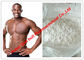 Testosterone Undecanoate/in basso steroide anabolizzante con purezza di 99%, polvere bianca del testosterone fornitore
