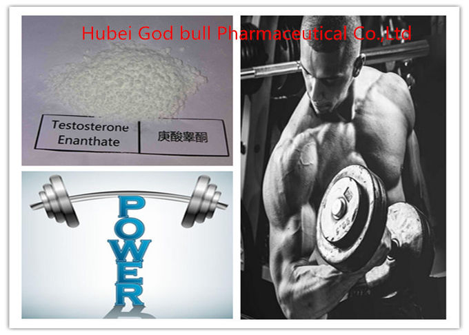 steroidi anabolizzanti sicuri Foglio informativo