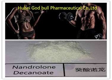 Porcellana 360-70-3 steroide di Deca Durabolin, steroidi anabolizzanti medici della costruzione del muscolo fornitore