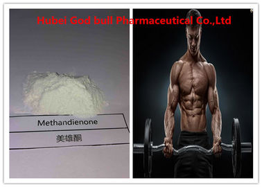 Porcellana Lo steroide crudo di Methandrostenolone spolverizza la certificazione di CAS 72-63-9 GMP fornitore
