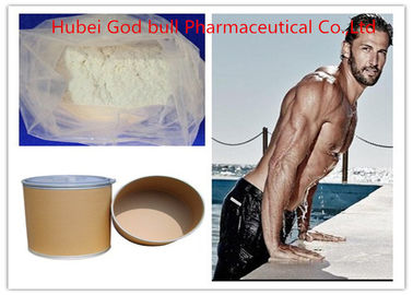Porcellana 50-41-9 anti steroidi dell'estrogeno di Clomid, polvere steroide cruda bianca di SERM fornitore