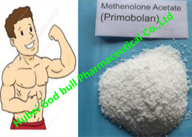 Porcellana Muscolo androgeno Primobolan degli steroidi anabolizzanti 207-097-0 dell'acetato di Methenolone fornitore