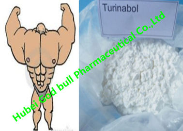 Porcellana Gli steroidi anabolici dell'androgeno della polvere orale di Turinabol riducono il ciclo del muscolo di SHBG fornitore
