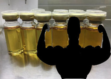 Porcellana Provi il testosterone misto steroidi anabolizzanti iniettabili 500mg/ml di miscela 500 fornitore