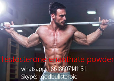 Porcellana iniezione bianca del testosterone della polvere steroide cruda del enanthate del testosterone fornitore