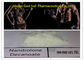 360-70-3 steroide di Deca Durabolin, steroidi anabolizzanti medici della costruzione del muscolo fornitore